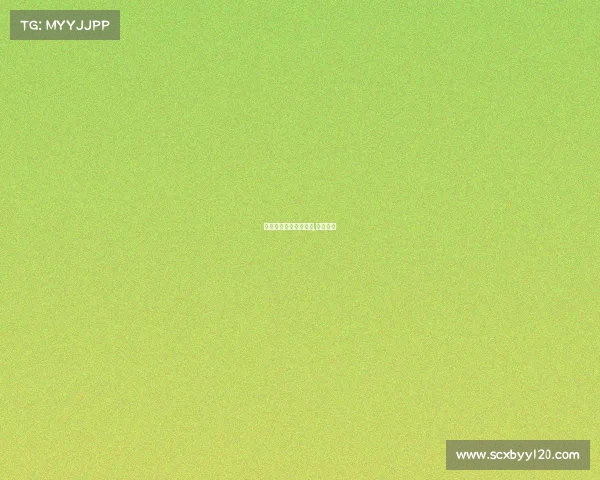 珠山电子竞技网吧地址,珠山会馆